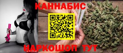 Альфа ПВП Сланцы