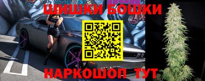 Альфа ПВП Сланцы