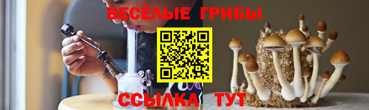Ржев  Галлюциногенные грибы Psilocybine cubensis  Вход с VPN 